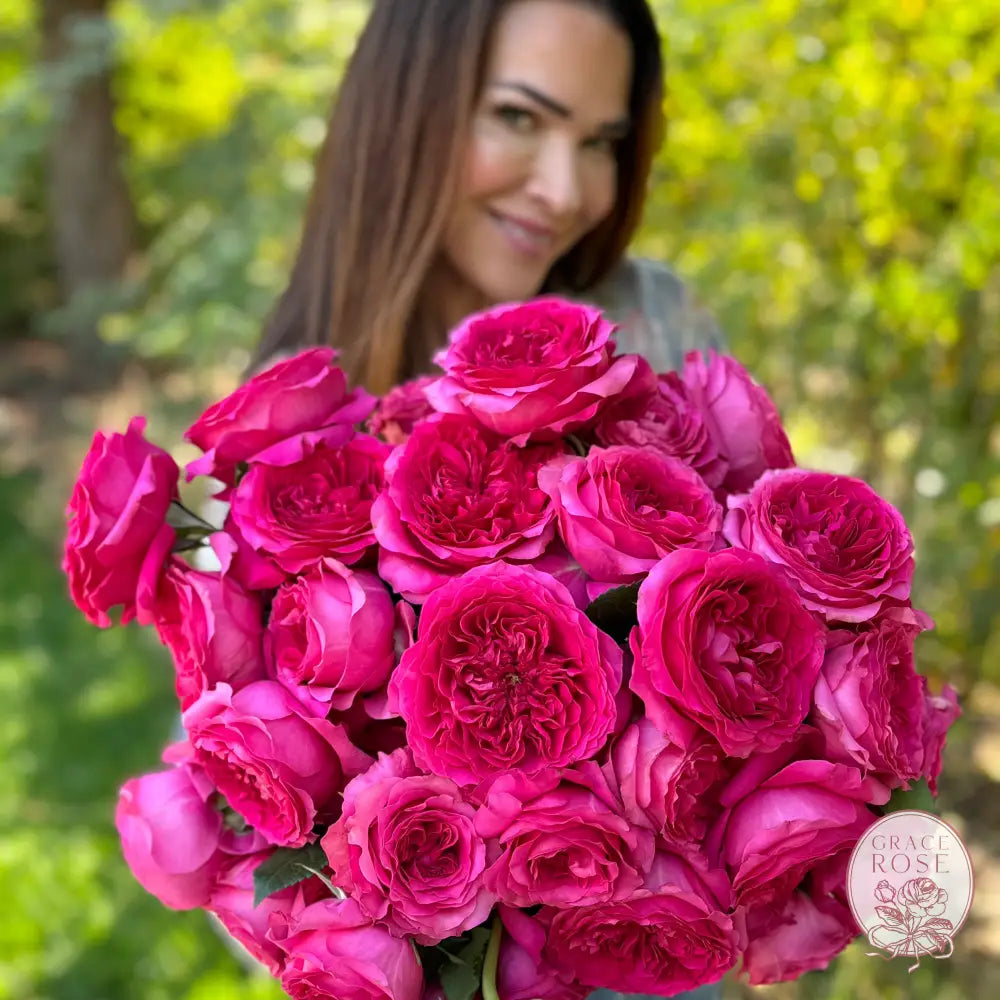 David Austin® Capability™ – Grace Rose Farm (Wholesale)