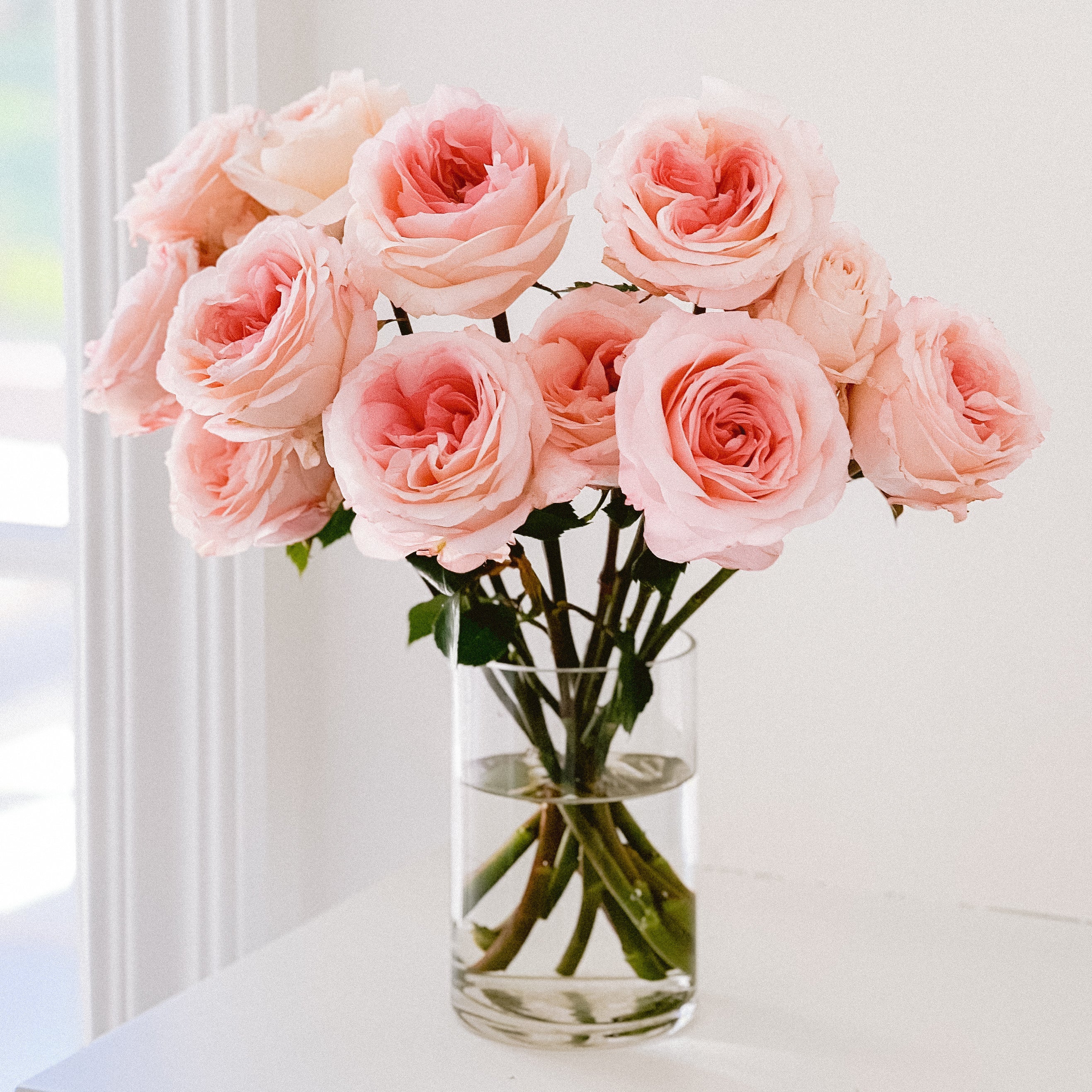 Mayra's Bridal Pink Cut Roses – Grace Rose Farm (wholesale)